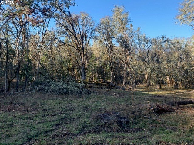 1 Northeast Pearce Road, Unit 1 Roseburg, OR 97470 - Photo 10 of 15