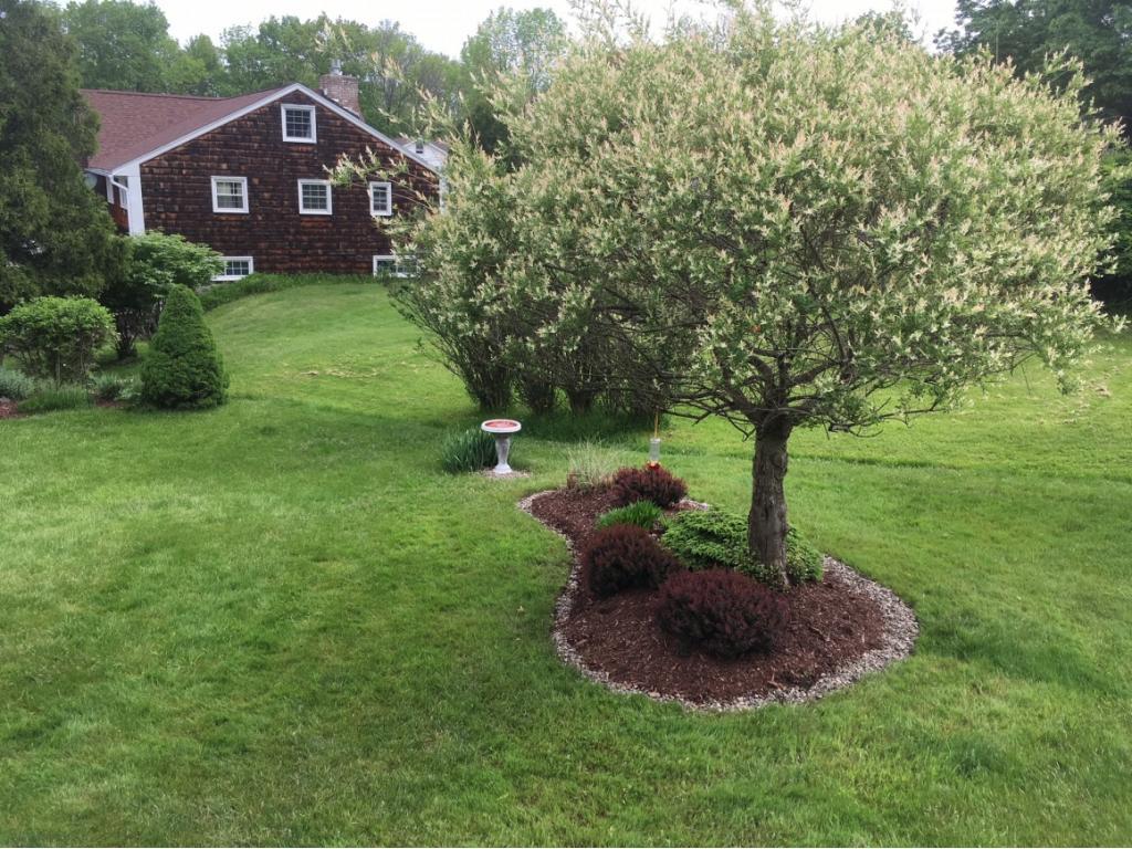 409 Jensen Road Vestal, NY 13850 - Photo 16 of 16 Gallery Image 16