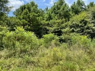 $55,000 | Lot 7 Fm 556, Pittsburg, TX 75686