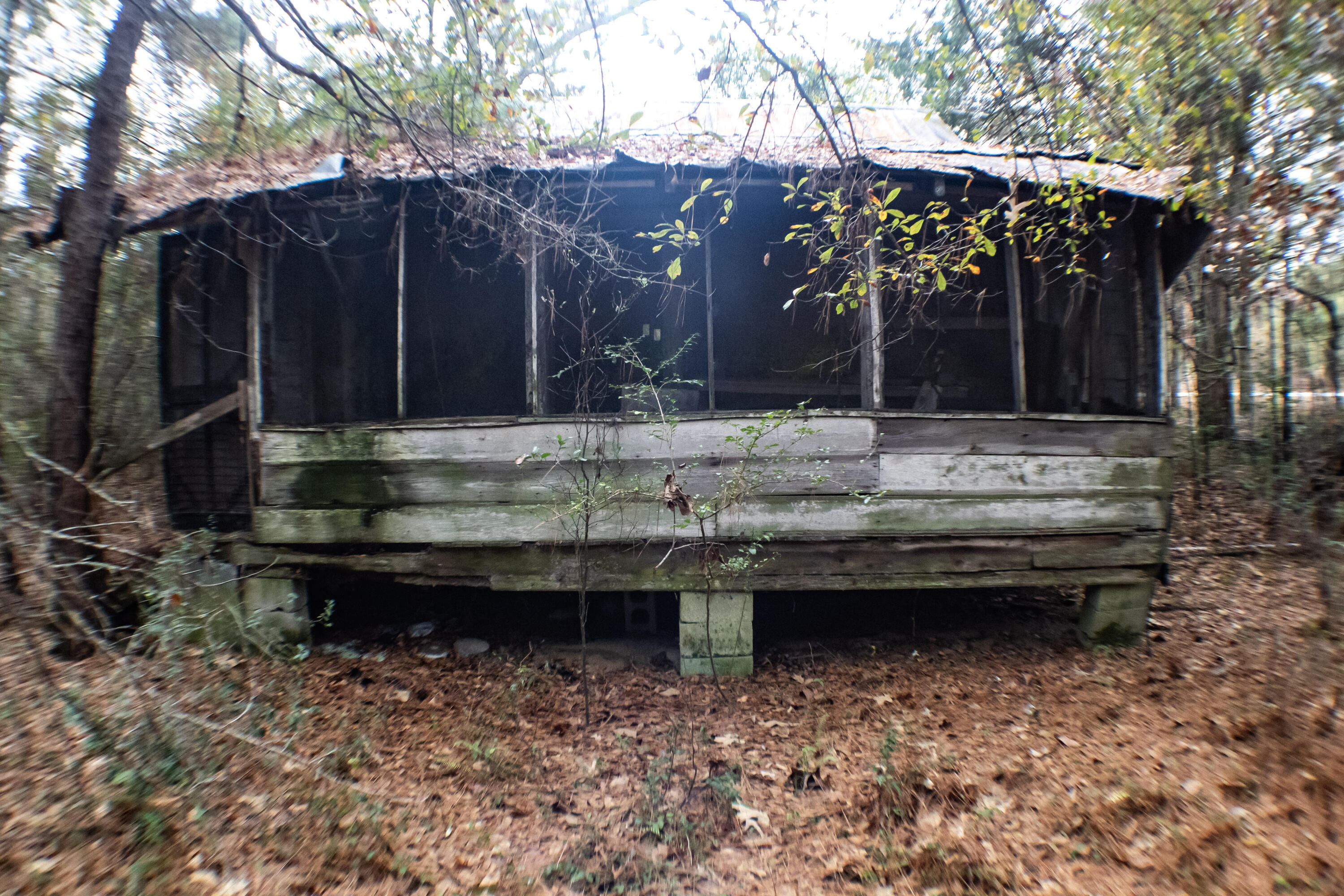 0 Orchard Road Williston, SC 29853 - Photo 17 of 20 Gallery Image 17