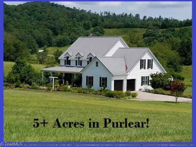 1240 Shingle Gap Road Purlear, NC 28665 - Photo 1 of 45 Main View