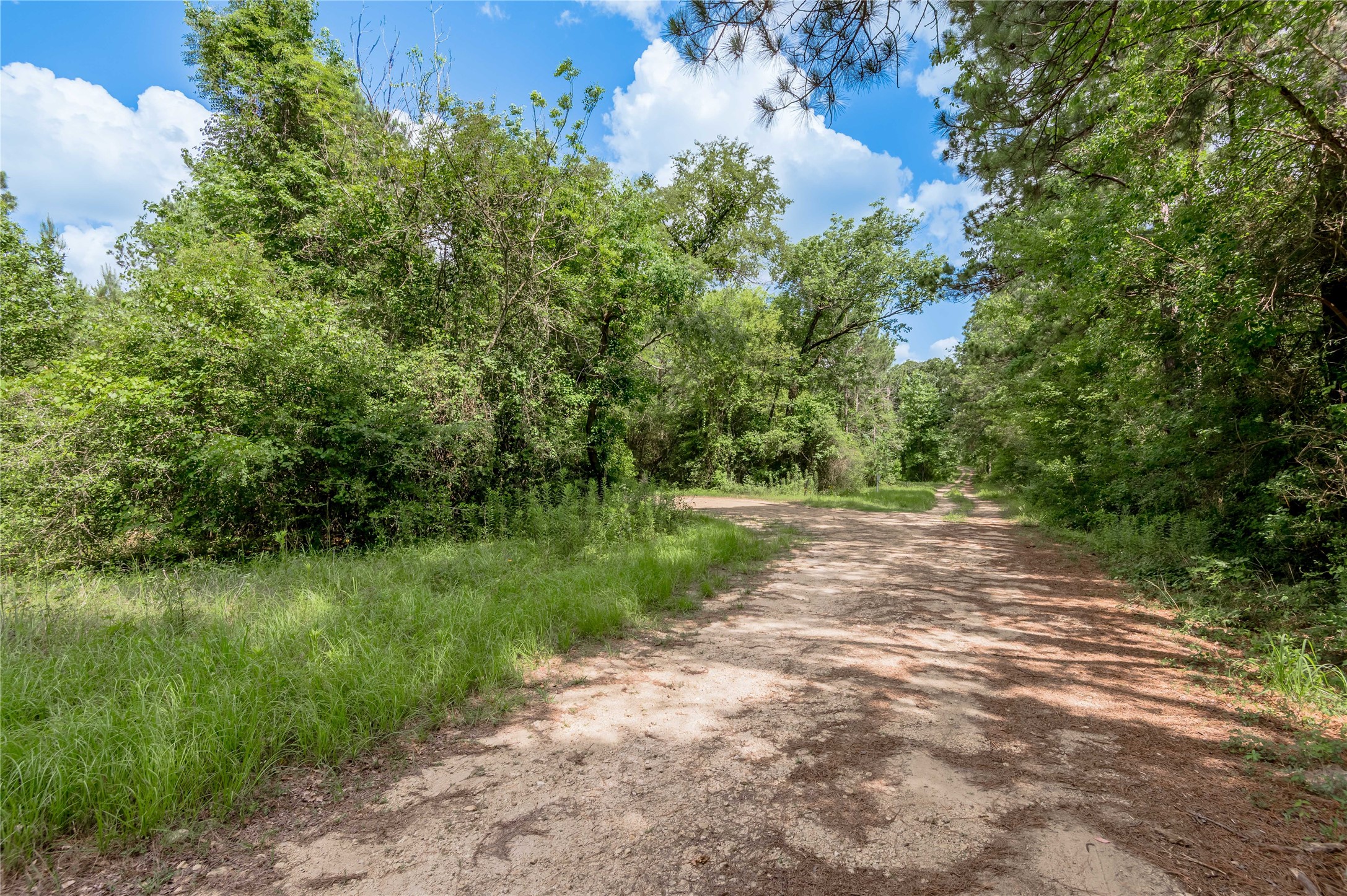 Na Gaston Road Apple Springs, TX 75926 - Photo 7 of 12
