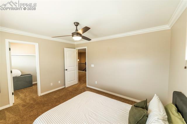 2415 Reed Grass Way Colorado Springs, CO 80915 - Photo 36 of 50 Gallery Image 36