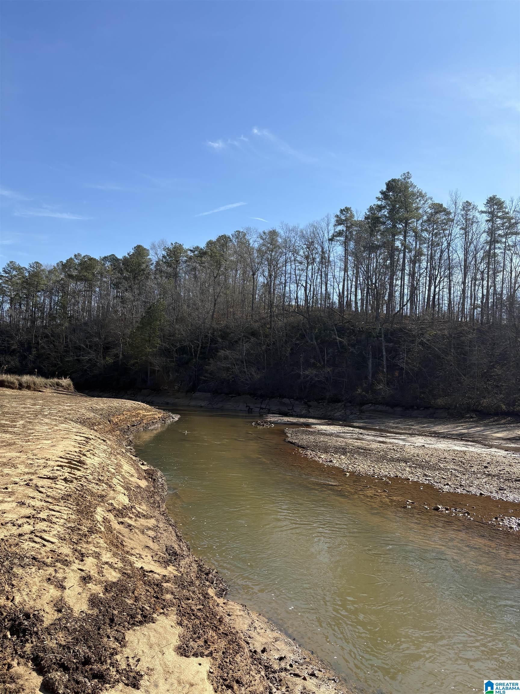 283 County Road 2012 Delta, AL 36258 - Photo 18 of 19