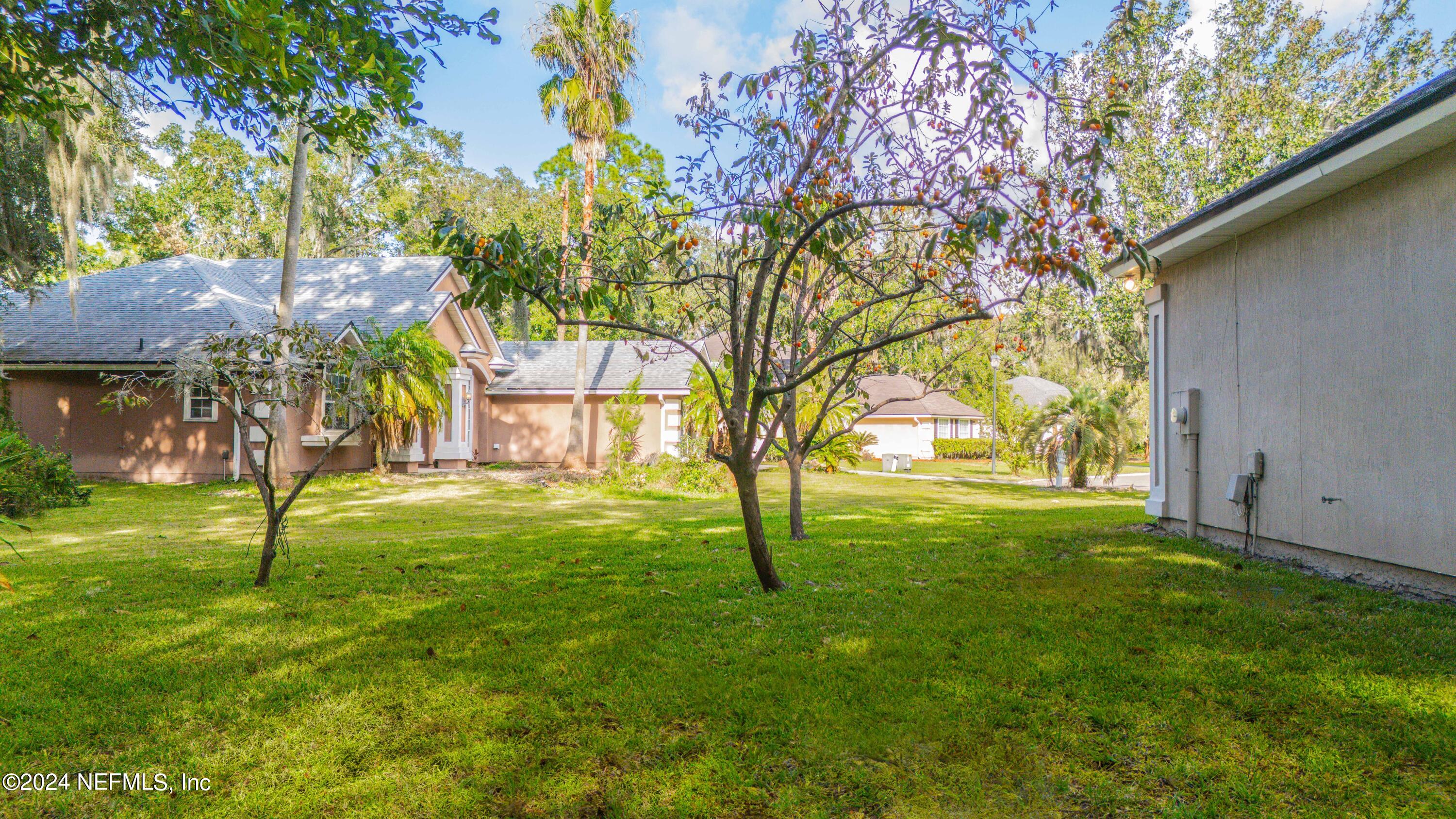 2802 Hidden Stagecoach Road Jacksonville, FL 32223 - Photo 32 of 42 Huge space between neighbor