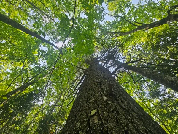 $149,900 | 2016 Hudson Road, Hudson, ME 04449