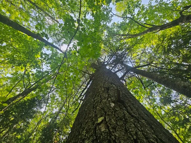 $169,900 | 2016 Hudson Road, Hudson, ME 04449