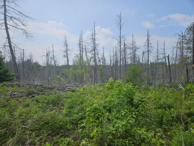 $169,900 | 2016 Hudson Road, Hudson, ME 04449