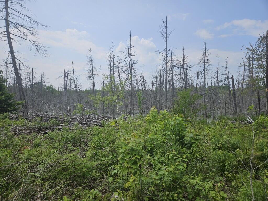 2016 Hudson Road Hudson, ME 04449 - Photo 11 of 36 20250605_133330