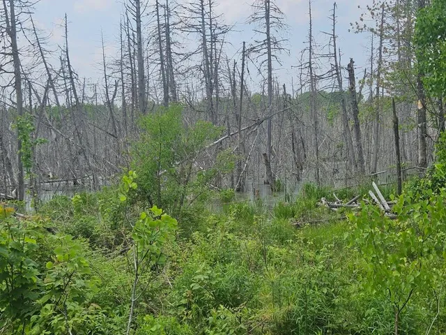 $169,900 | 2016 Hudson Road, Hudson, ME 04449