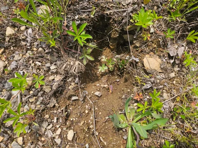 $169,900 | 2016 Hudson Road, Hudson, ME 04449