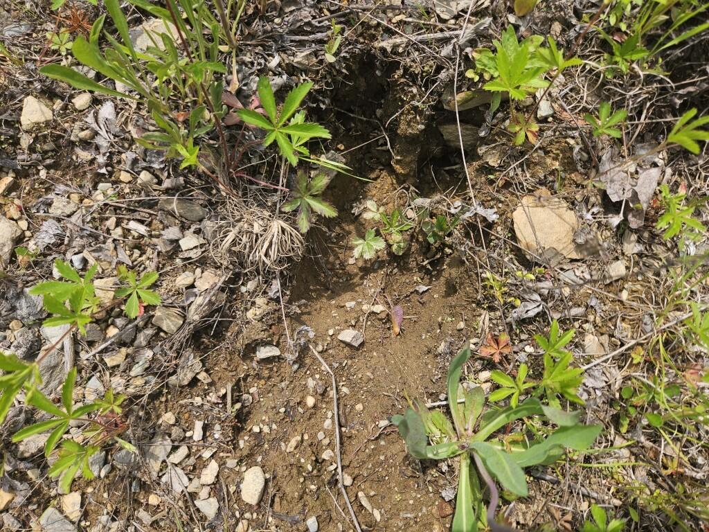 2016 Hudson Road Hudson, ME 04449 - Photo 13 of 36 20250605_133513