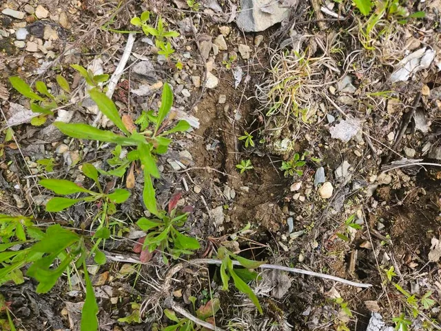 $169,900 | 2016 Hudson Road, Hudson, ME 04449