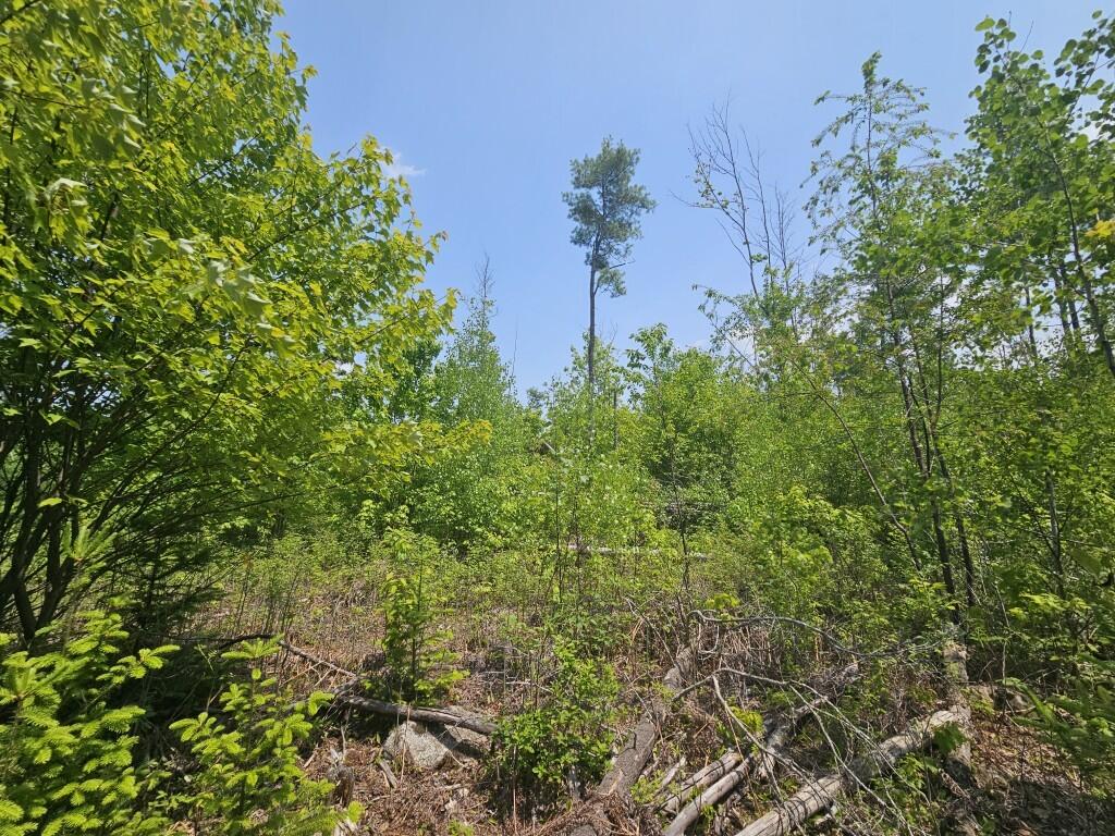 2016 Hudson Road Hudson, ME 04449 - Photo 15 of 36 20250605_125055