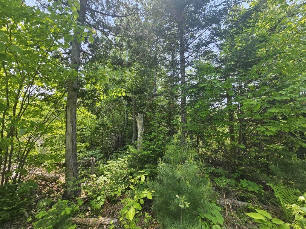 2016 Hudson Road Hudson, ME 04449 - Photo 16 of 36 20250605_125100