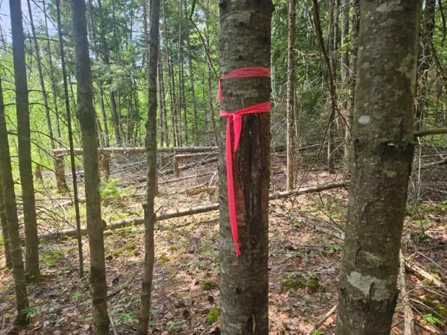 $169,900 | 2016 Hudson Road, Hudson, ME 04449