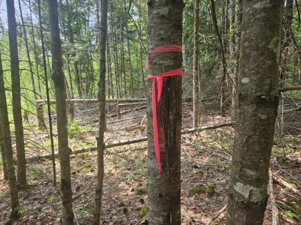 2016 Hudson Road Hudson, ME 04449 - Photo 20 of 36 20250605_131623