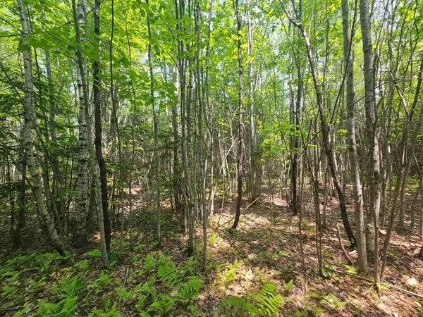 $149,900 | 2016 Hudson Road, Hudson, ME 04449