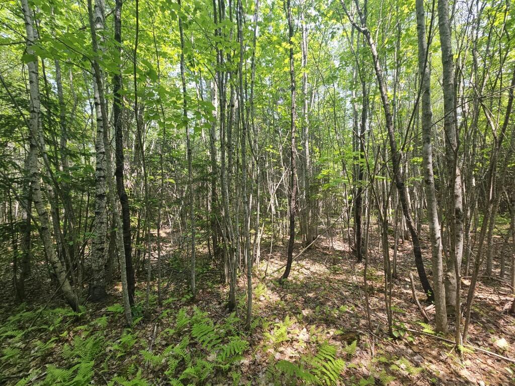 2016 Hudson Road Hudson, ME 04449 - Photo 2 of 36 20250605_130506