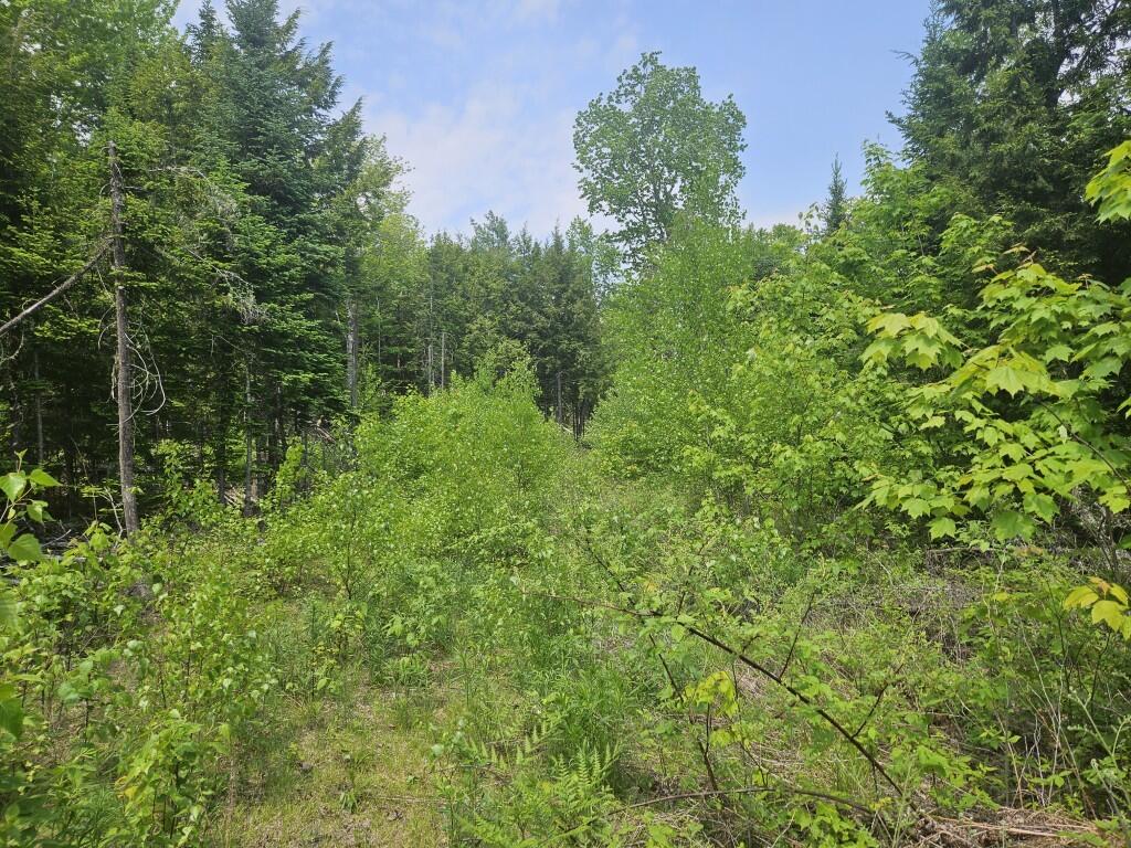 2016 Hudson Road Hudson, ME 04449 - Photo 24 of 36 20250605_132716