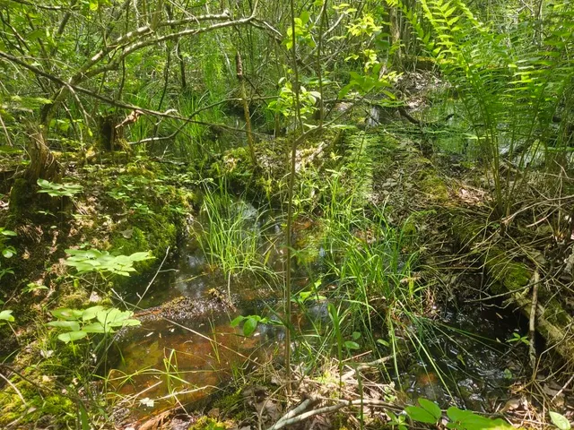 $169,900 | 2016 Hudson Road, Hudson, ME 04449