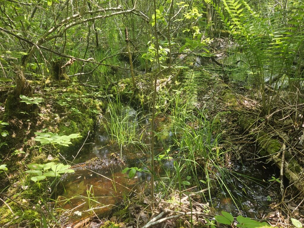 2016 Hudson Road Hudson, ME 04449 - Photo 27 of 36 20250605_134436