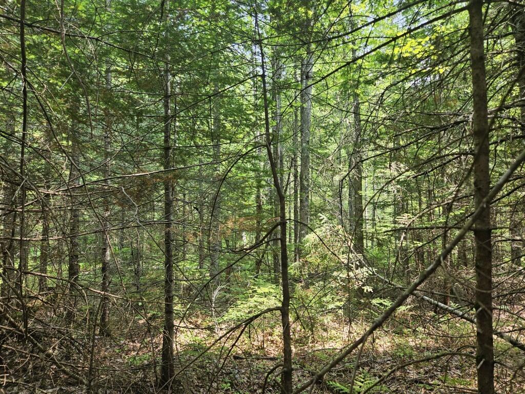 2016 Hudson Road Hudson, ME 04449 - Photo 3 of 36 20250605_130035