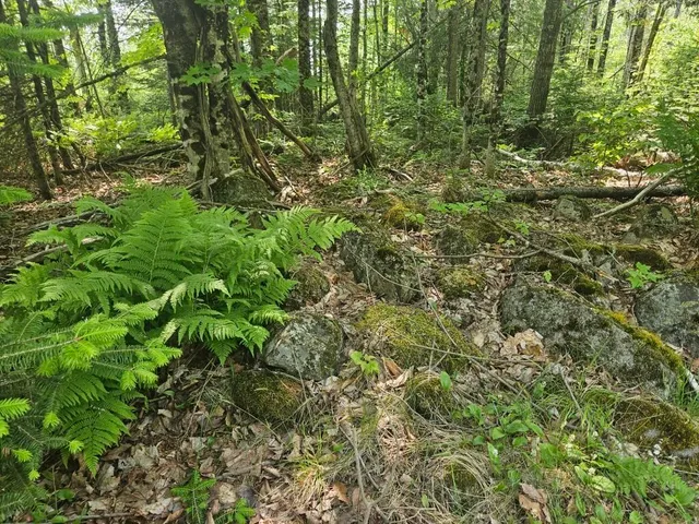 $169,900 | 2016 Hudson Road, Hudson, ME 04449