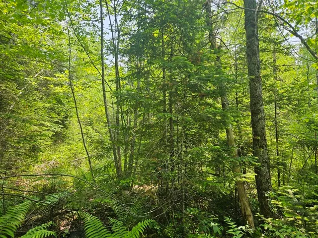 $169,900 | 2016 Hudson Road, Hudson, ME 04449