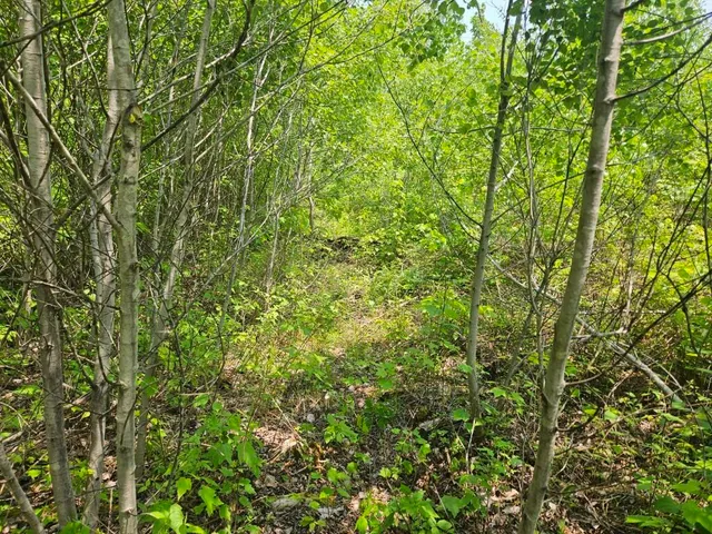 $169,900 | 2016 Hudson Road, Hudson, ME 04449