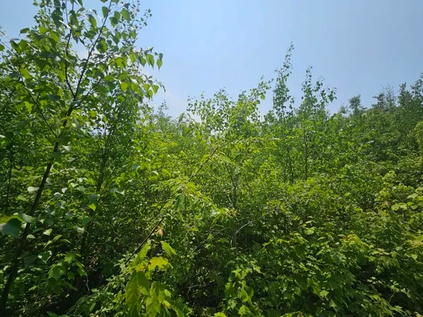 $149,900 | 2016 Hudson Road, Hudson, ME 04449