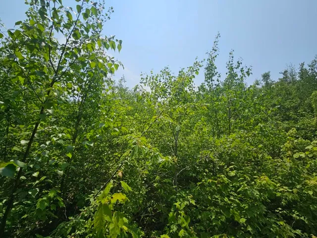 $169,900 | 2016 Hudson Road, Hudson, ME 04449