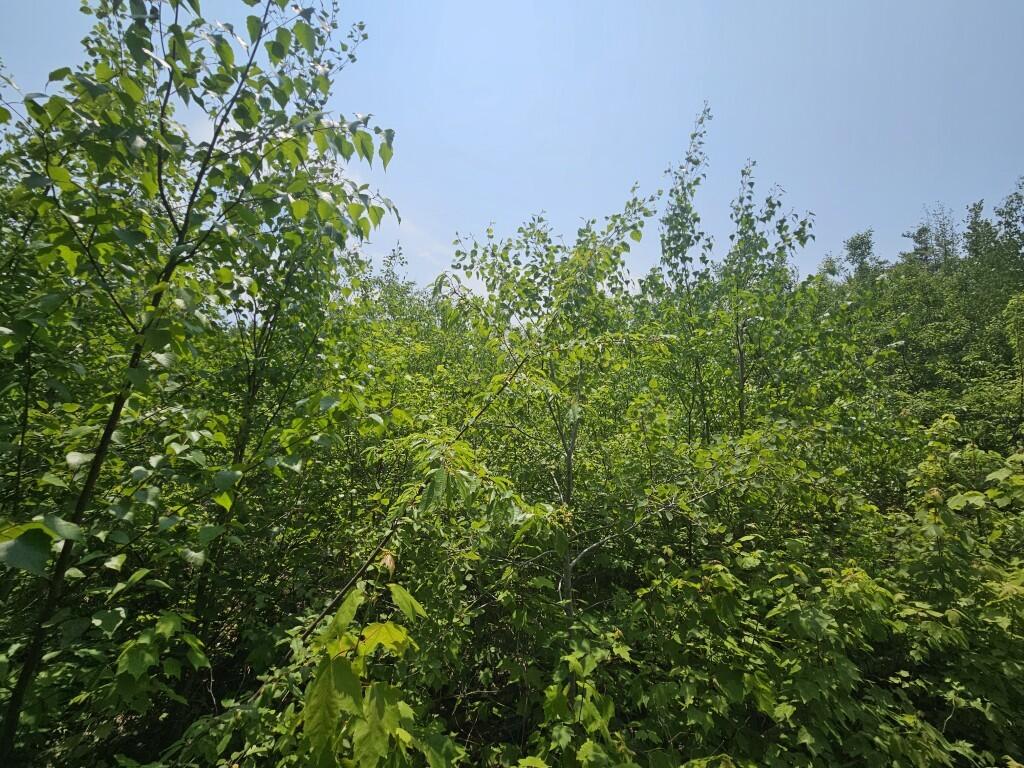 2016 Hudson Road Hudson, ME 04449 - Photo 6 of 36 20250605_123322