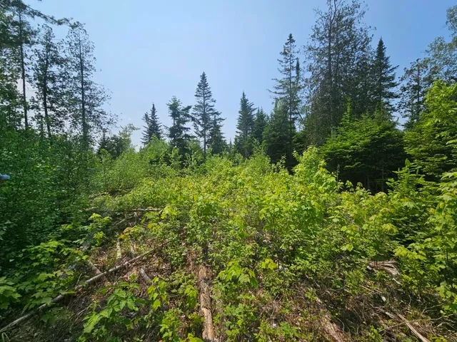 $169,900 | 2016 Hudson Road, Hudson, ME 04449