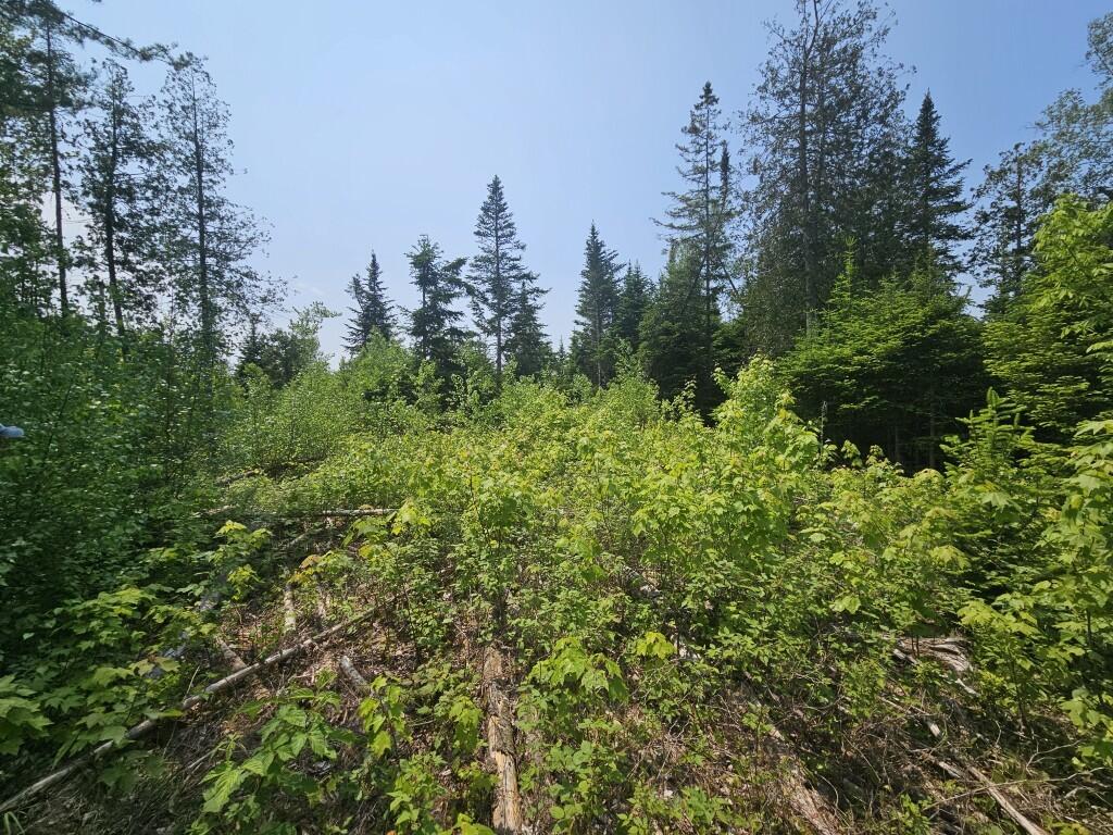 2016 Hudson Road Hudson, ME 04449 - Photo 7 of 36 20250605_123822