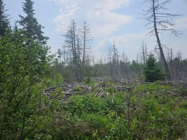 $169,900 | 2016 Hudson Road, Hudson, ME 04449