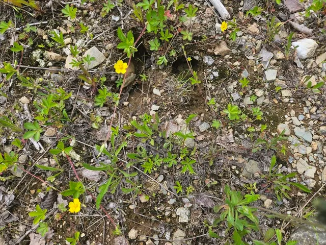 $169,900 | 2016 Hudson Road, Hudson, ME 04449