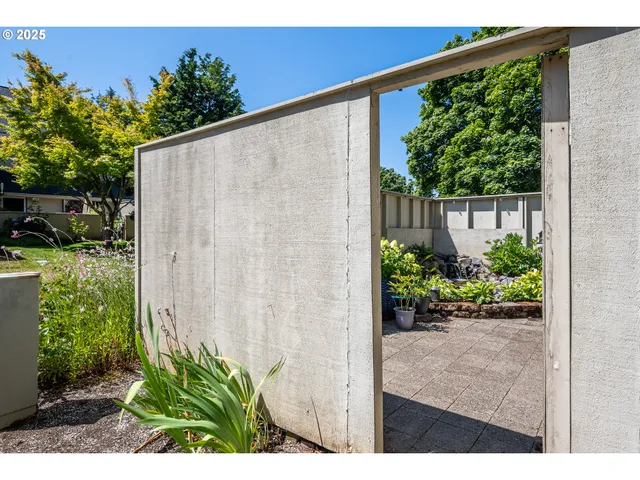 a view of a backyard with plants