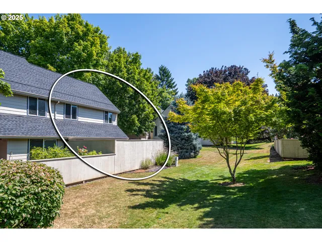 a view of a backyard