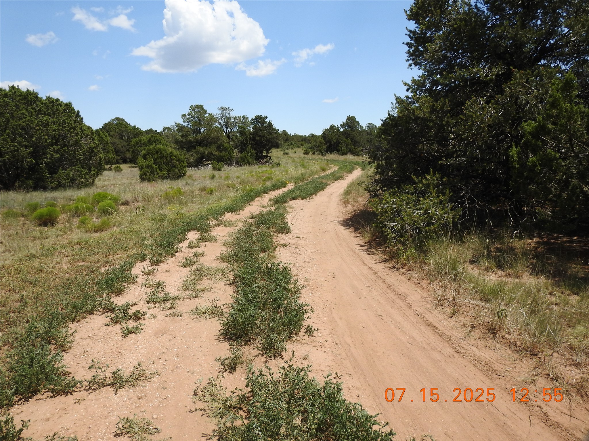 139 Apache Mesa Road Las Vegas, NM 87701 - Photo 14 of 23