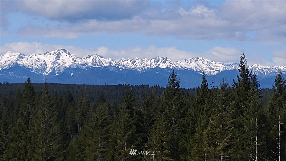 1 Xx Benson Ridge Road Grapeview, WA 98546 - Photo 3 of 3 Gallery Image 3