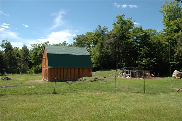 84 Searle Road Huntington, MA 01050 - Photo 20 of 28 a backyard of a house with lots of green space