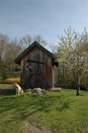 84 Searle Road Huntington, MA 01050 - Photo 22 of 28 a view of a tiny house with a yard