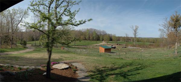 84 Searle Road Huntington, MA 01050 - Photo 23 of 28 a view of a fire pit with large trees