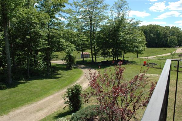 84 Searle Road Huntington, MA 01050 - Photo 24 of 28 a view of a park with large trees