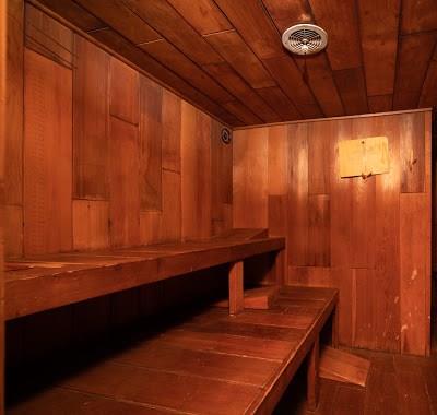 5420 Darlington Road Pittsburgh, PA 15217 - Photo 25 of 25 The sauna, whirlpool, and steam shower are off the game room. Luxury at home!