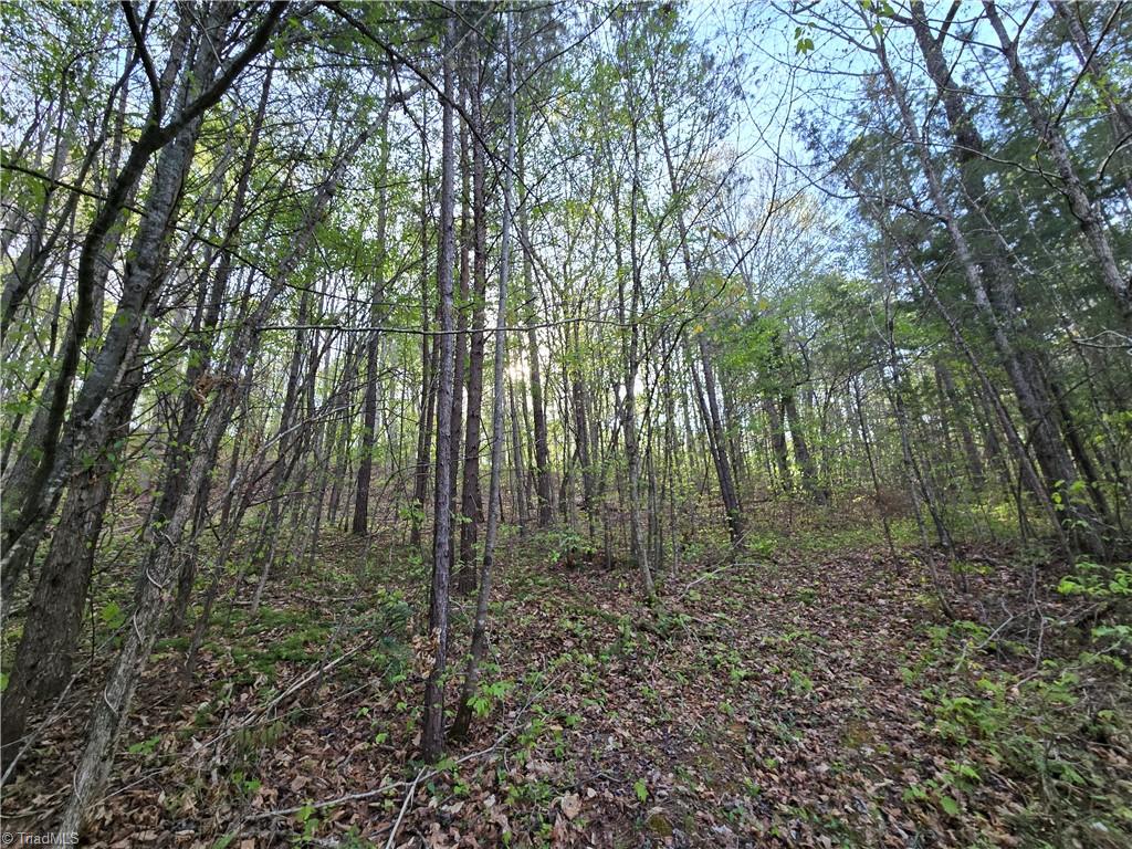 0 Hoover Hill Road Asheboro, NC 27205 - Photo 12 of 29