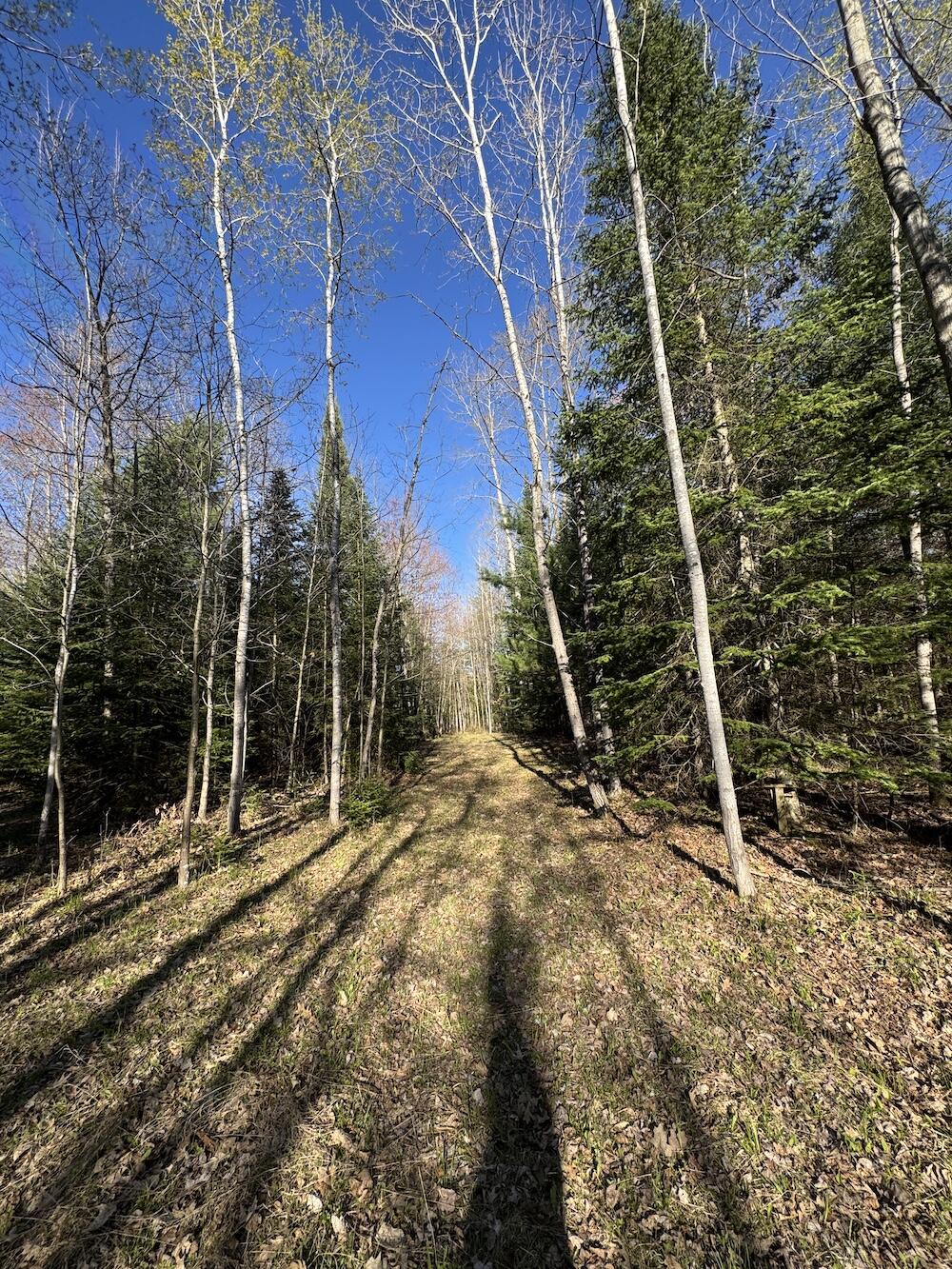 Lot 9 V/l Wildwood Road Alger, MI 48610 - Photo 5 of 40 IMG_2754