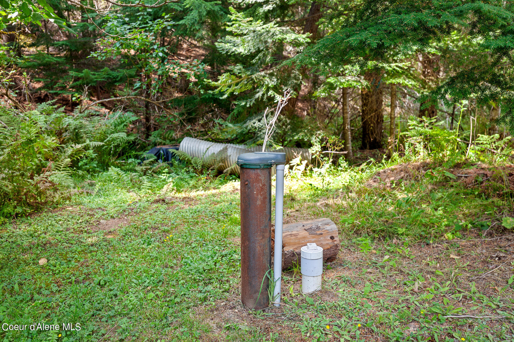 9076 Coeur D'Alene River Road Kingston, ID 83839 - Photo 14 of 32 9076CoeurdAleneRiverRd-13