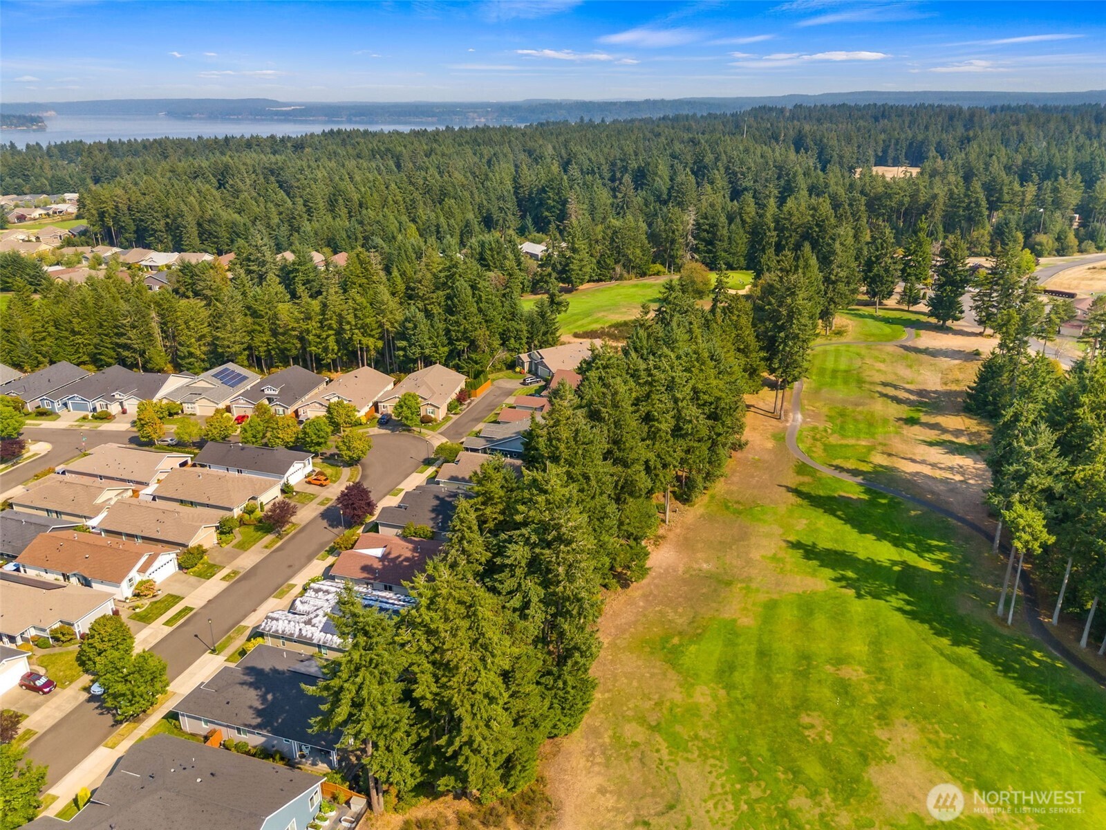 8231 Orcas Loop Northeast Lacey, WA 98516 - Photo 22 of 23 a view of a city with an ocean view